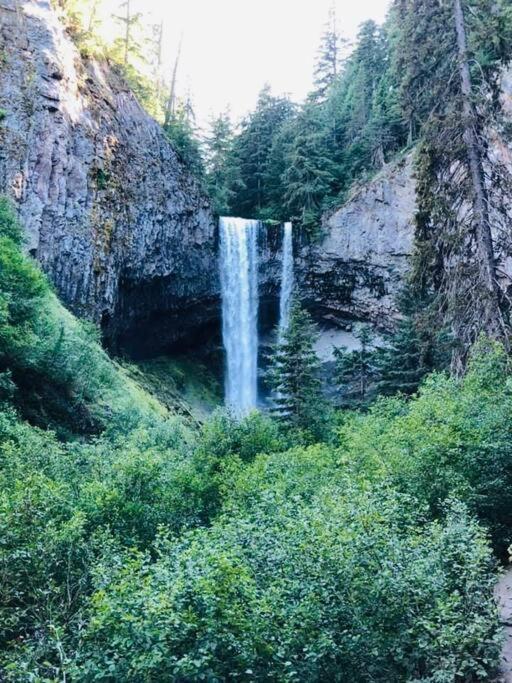 Ski-mount Hood Charm-welches,golf And Condo,w&d, Wifi,near Woods,hiking,fishing Apartment *