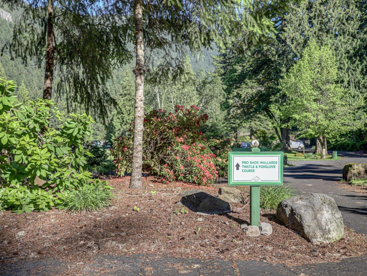 Apartment Ski-mount Hood Charm-welches,golf And Condo,w&d, Wifi,near Woods,hiking,fishing